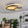 RAFZ Ceiling Light LED black, 1-light source