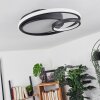 RAFZ Ceiling Light LED black, 1-light source