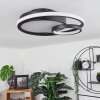 RAFZ Ceiling Light LED black, 1-light source