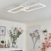 HYACINTHE Ceiling Light LED white, 1-light source