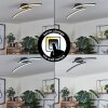 RHEINFELDEN Ceiling Light LED black, 1-light source