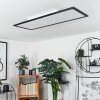 WILDERSWIL Ceiling Light LED white, 1-light source