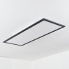 WILDERSWIL Ceiling Light LED white, 1-light source