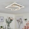 FREDERICK Ceiling Light LED silver, white, 1-light source