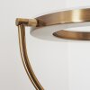 DONNA Floor Lamp LED antique brass, 2-light sources
