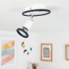 CABRI Ceiling Light LED chrome, black, white, 1-light source