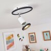 CABRI Ceiling Light LED chrome, black, white, 1-light source