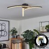 RHEINFELDEN Ceiling Light LED black, 1-light source