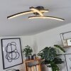 RHEINFELDEN Ceiling Light LED black, 1-light source