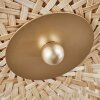 BAURO Ceiling Light brass, 3-light sources