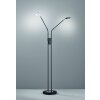 Fischer & Honsel DENT Floor Lamp LED black, 2-light sources