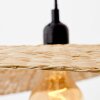 Brilliant JEFTER Pendant Light black, 1-light source