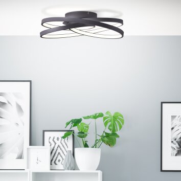 Brilliant LABYRINTH Ceiling Light LED black, 1-light source