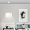 Brilliant ESHER Pendant Light silver, 1-light source