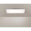 Paul Neuhaus FRAMELESS Ceiling Light LED white, 1-light source, Remote control, Colour changer