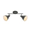 Globo ceiling light grey, 2-light sources