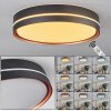 CACHALOT Ceiling Light LED copper, black, 1-light source, Remote control, Colour changer