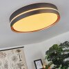 CACHALOT Ceiling Light LED copper, black, 1-light source, Remote control, Colour changer