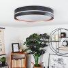 CACHALOT Ceiling Light LED copper, black, 1-light source, Remote control, Colour changer
