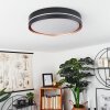 CACHALOT Ceiling Light LED copper, black, 1-light source, Remote control, Colour changer