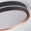 CACHALOT Ceiling Light LED copper, black, 1-light source, Remote control, Colour changer