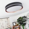 CACHALOT Ceiling Light LED copper, black, 1-light source, Remote control, Colour changer