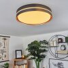 CACHALOT Ceiling Light LED copper, black, 1-light source, Remote control, Colour changer