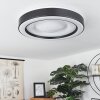 ZEBALLOS Ceiling Light LED white, 1-light source, Remote control, Colour changer