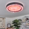 ZEBALLOS Ceiling Light LED white, 1-light source, Remote control, Colour changer