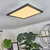 WILDERSWIL Ceiling Light LED white, 1-light source