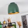 VIKING Ceiling Light green, 1-light source