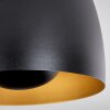 VIKING Ceiling Light black, 1-light source
