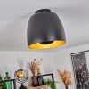 VIKING Ceiling Light black, 1-light source