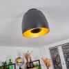 VIKING Ceiling Light black, 1-light source