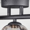 CHARITON Ceiling Light LED black, 3-light sources