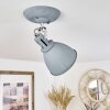 KOPPOM Ceiling Light chrome, grey, 1-light source