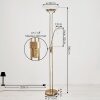 BIOT Floor Lamp LED brass, 2-light sources