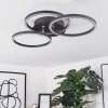 XENA Ceiling Light LED black, 1-light source, Remote control