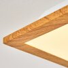 BARASAT Ceiling Light LED white, 1-light source