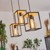 COLEBROOK Pendant Light black, 3-light sources