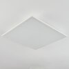 BARASAT Ceiling Light LED white, 1-light source