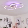 LITHGOW Ceiling Light LED silver, 2-light sources, Remote control, Colour changer