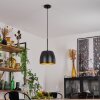 VIKING Pendant Light black, 1-light source