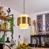 VIVIAN Pendant Light brass, 1-light source