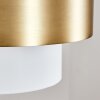 VIVIAN Pendant Light brass, 1-light source