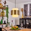 VIVIAN Pendant Light brass, 1-light source
