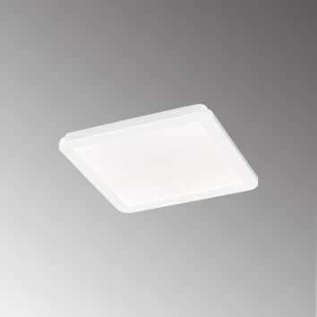 Fischer & Honsel GOTLAND Ceiling Light LED cream, white, 1-light source