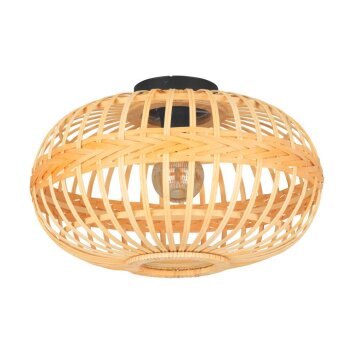 Eglo AMSFIELD Ceiling Light black, 1-light source