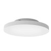 Eglo TURCONA-Z Ceiling Light LED white, 1-light source, Colour changer