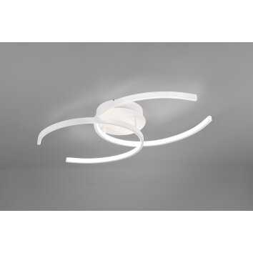 GUINEA Ceiling Light LED white, 2-light sources